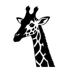 Fototapeta premium a black and white silhouette of a giraffe's head