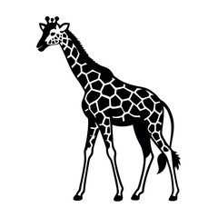 Obraz premium a black and white silhouette of a giraffe's head