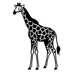 Obraz premium a black and white silhouette of a giraffe's head