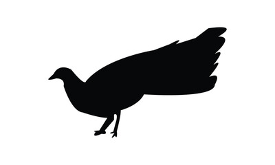 Wood Peafowl Silhouette And Vector Illustration. 
