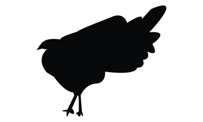 Wood Peafowl Silhouette And Vector Illustration. 