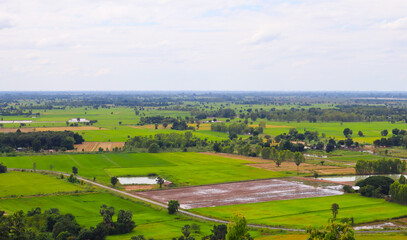 High angle view from the agricultural rice field, combined with the mountain view and clear sky, reflects the rich and loving nature of the world, Northern Thailand, Southeast Asia.