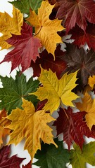 autumn leaves background