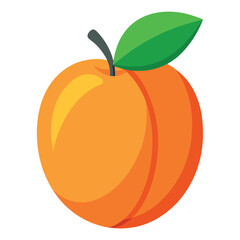 Apricot fruit vector art illustration