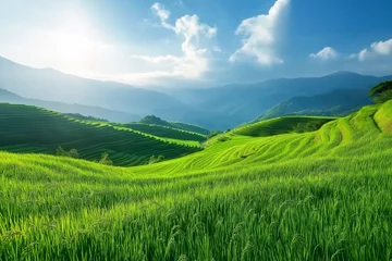 Fotobehang Stunning green terraced rice fields in mountain   © Towhid Art Mart