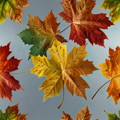 Obraz premium autumn leaves background
