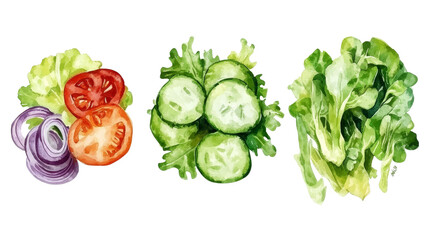 Obraz premium Watercolor Illustration of Salad Ingredients Cucumber, Tomato, Onion, and Lettuce, watercolor painting, salad ingredients, vegetable