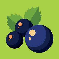 Blackcurrant and half of pcs fruit vector art illustration