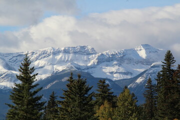 Fototapeta premium Snow On The Ridge, Jasper National Park, Alberta