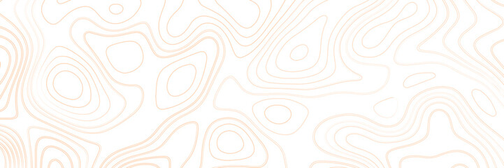Topographic map background concept. Topo contour map. Rendering abstract illustration. Vector abstract illustration. 