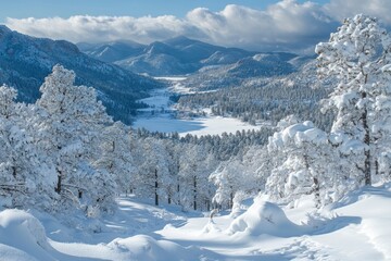 Obraz premium Snowy pines overlooking frozen valley in colorado mountains winter wonderland