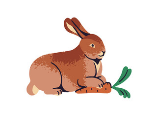 Cute little rabbit with long ears eats carrot. Funny small bunny lying, has a rest. Happy domestic hare with vegetable. Farm animal, livestock. Flat isolated vector illustration on white background