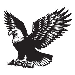 Eagle Silhouette vector art illustration