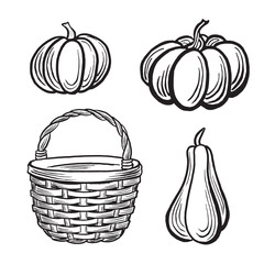 Pumpkins and wicker basket. Set autumn sketches. Vector line illustrations, hand drawn isolated. Black and white doodle of Thanksgiving and Harvesting vegetables. Clipart for card, sticker, wrapping.