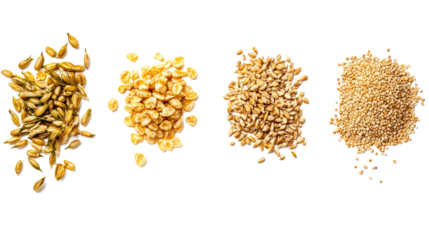 Malt Grains for Brewing on a Transparent Background Generative AI