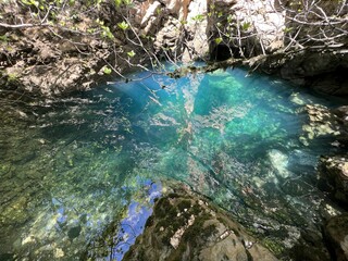 The source of the Dabarnica stream, the right tributary of the Zrmanja river (Velebit Nature Park, Croatia) - Izvor potoka Dabarnica, desne pritoke rijeke Zrmanje (Park prirode Velebit, Hrvatska)