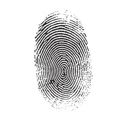 Fingerprint identification. Biometric human fingerprints, unique thumb lines imprint. Biometric data. Fingerprint scanning icon.