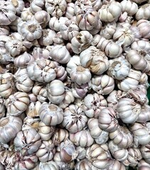 Photo of a bunch of garlic in a container