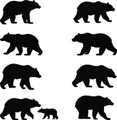 Unique Collection Of Bear Silhouette