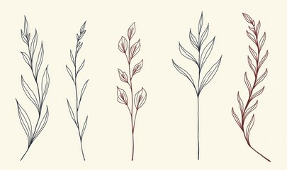 Elegant hand-drawn botanical illustrations featuring various plants, perfect for invitations, packaging, and branding in eco-friendly and natural products.