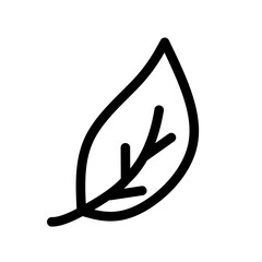 Leaf vector icon