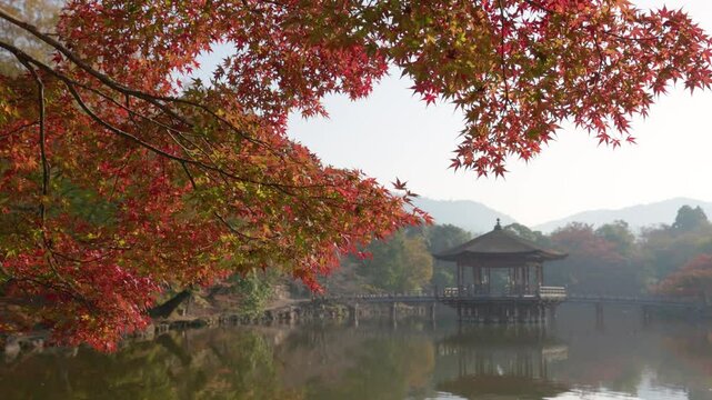 秋の奈良古都の池にのびる紅葉と