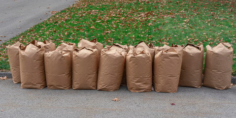 fallen leaves collected in recycle paper bag in autumn