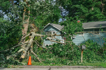 Dangerous fallen tree branch in residential neighborhood caused by storm