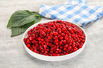 Ripe sweet wild organic cowberry