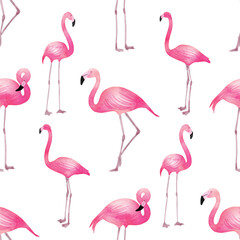 seamless pattern with Flamingos or flamingoes are a type of wading bird in the family Phoenicopteridae, A group of flamingoes is called a 