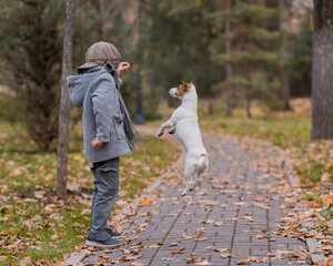 Fototapeta premium Caucasian boy playing with a dog for a walk in the autumn park. 