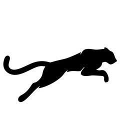 panther jumping © Doriann
