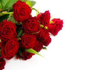 bouquet of red roses on a white background