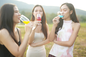 Friends are celebrating at a party, nightclubs are raising wine glasses to celebrate friendship.