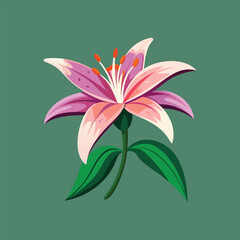 lily flower vector art illustration for elegant floral decor