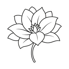 elegant merrygold flower line art vector illustration for botanical designs
