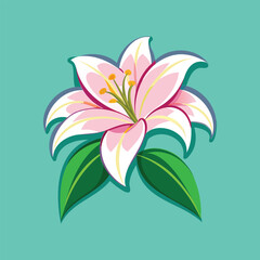 lily flower vector art illustration for elegant floral decor