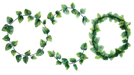 Tropical Foliage Bushes on Transparent Background Generative AI