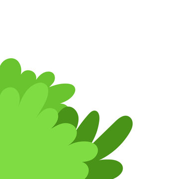 Green Grass Corner