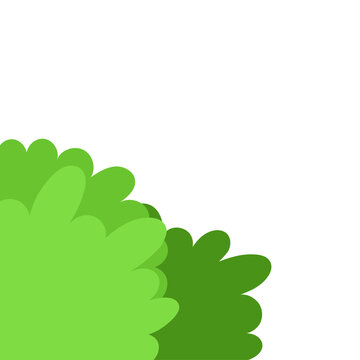 Green Grass Corner