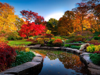 Obraz premium autumn in the park