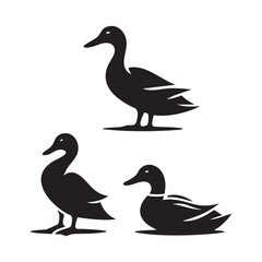 Obraz premium Set of duck silhouette