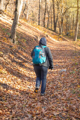 Woman with a backpack walk a forest path.