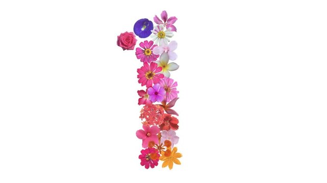 1, Video of numbers formed from growing flowers, suitable for birthday, anniversary and commemoration templates.