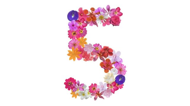 5, Video of numbers formed from growing flowers, suitable for birthday, anniversary and commemoration templates.