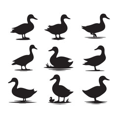 Obraz premium Set of duck silhouette