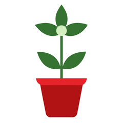 Medicinal Peppermint Flower Vector.