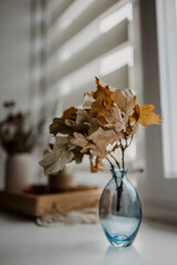 autumn still life with dry leaves
