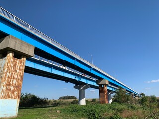 江戸川流域の景色
