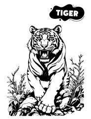 142 tiger illustration model for coloring